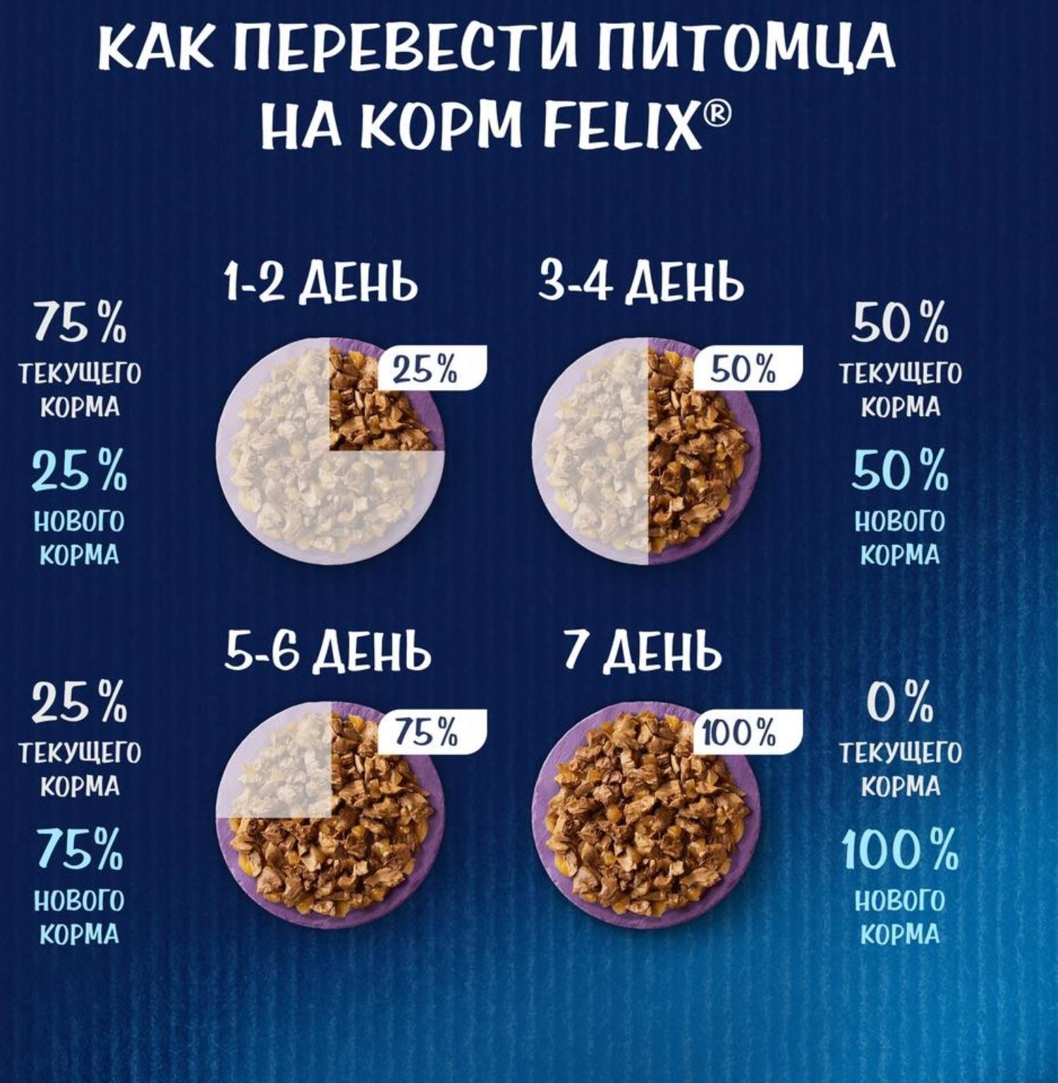 Влажный корм Felix Суп с треской, для кошек, 48 г