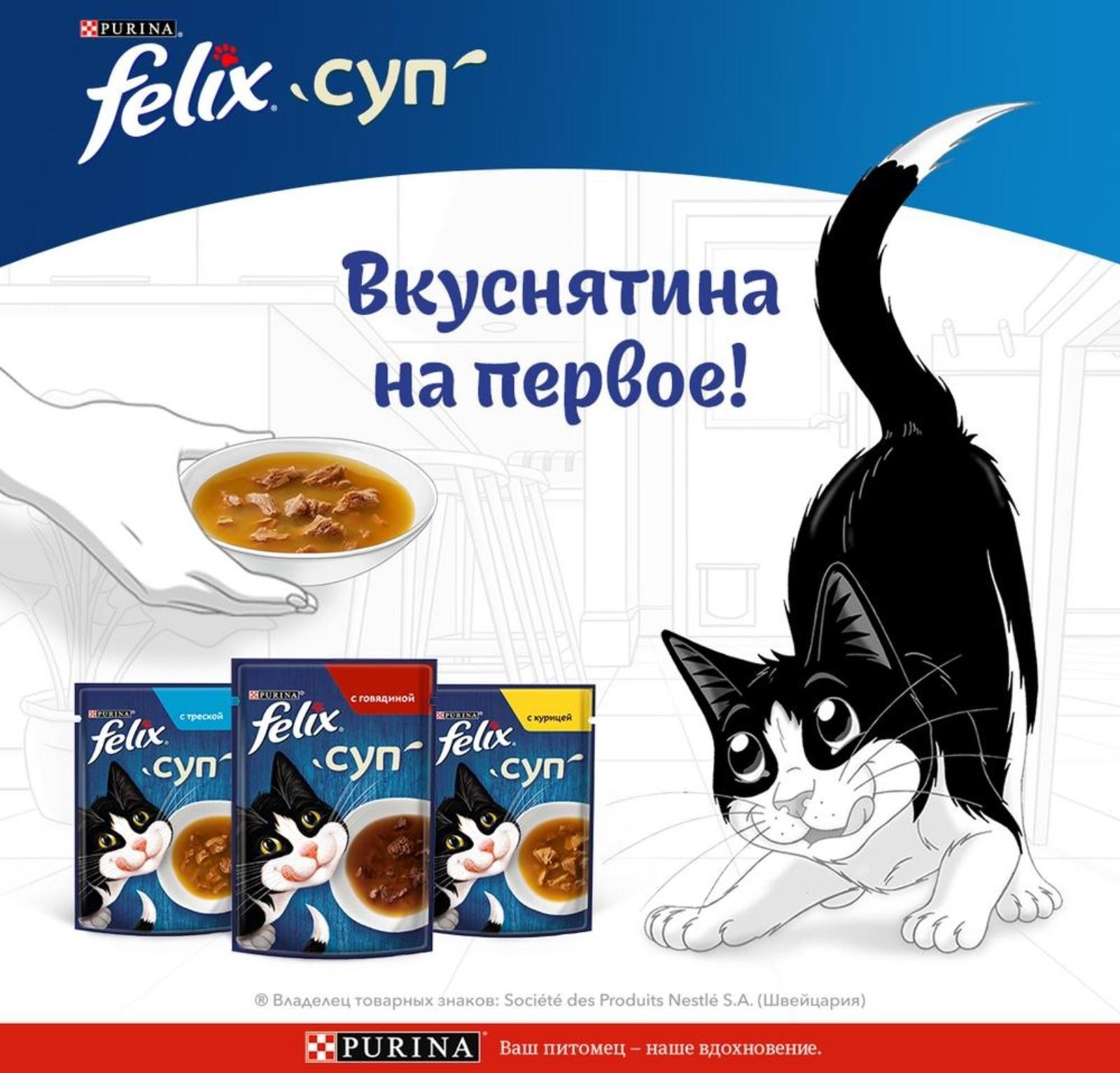 Влажный корм Felix Суп с треской, для кошек, 48 г