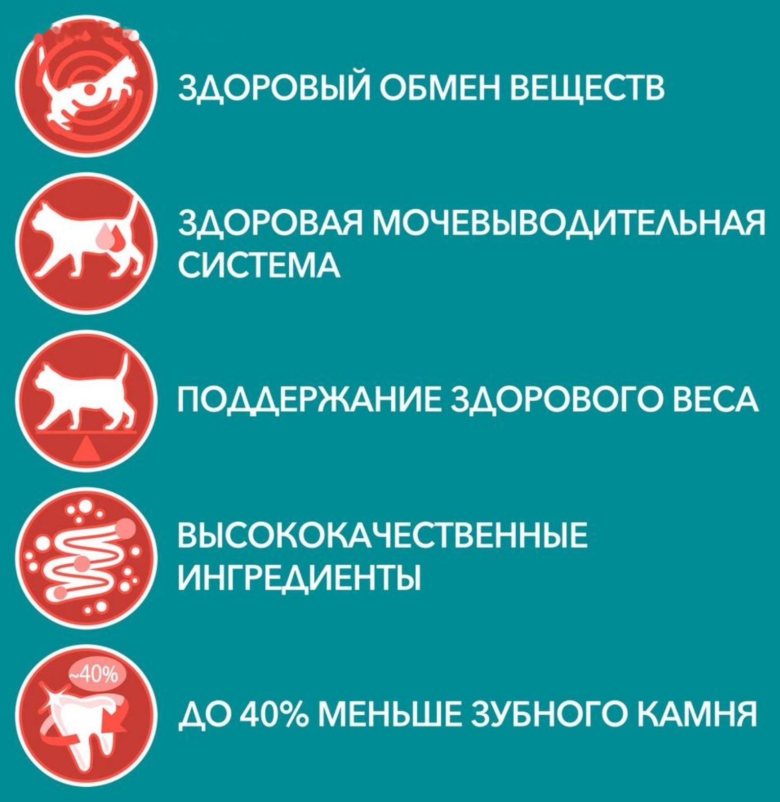 Сухой корм Purinа One для стерилизованных кошек, лосось/пшеница, 750 г