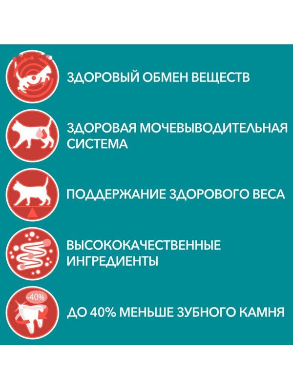 Сухой корм Purinа One для стерилизованных кошек, лосось/пшеница, 750 г