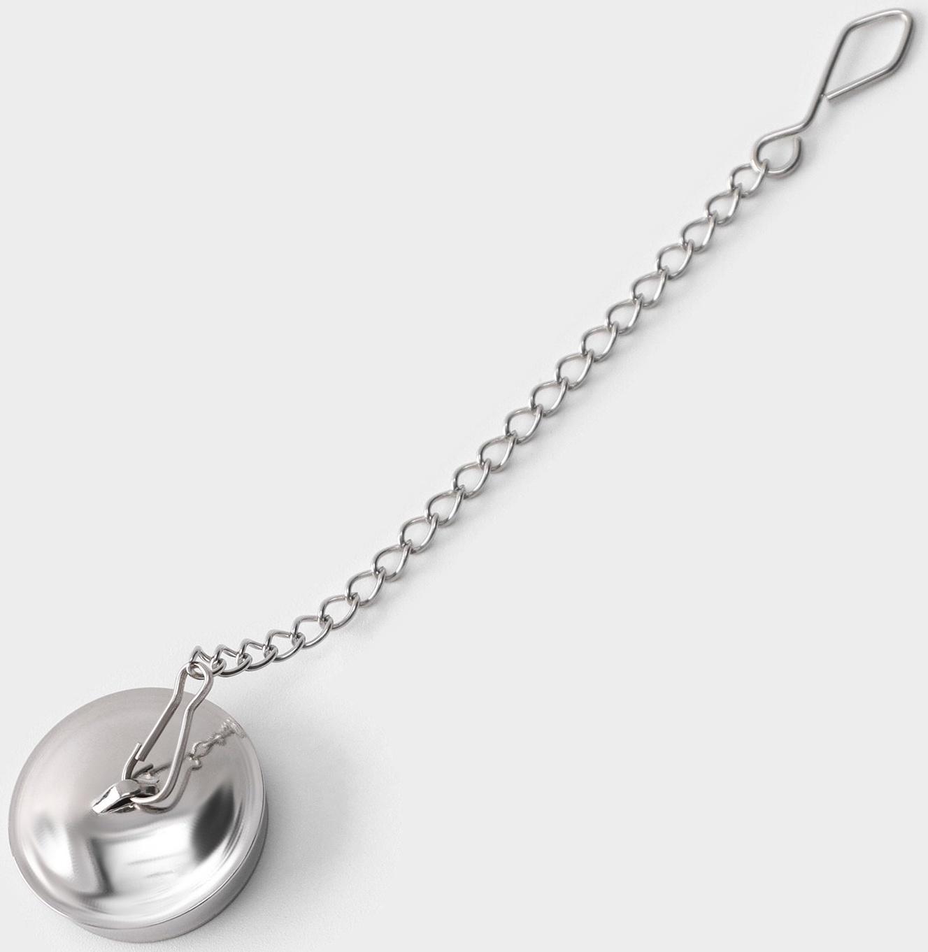 Сито для чая Magistro «Чайник Vent», цвет серебряный