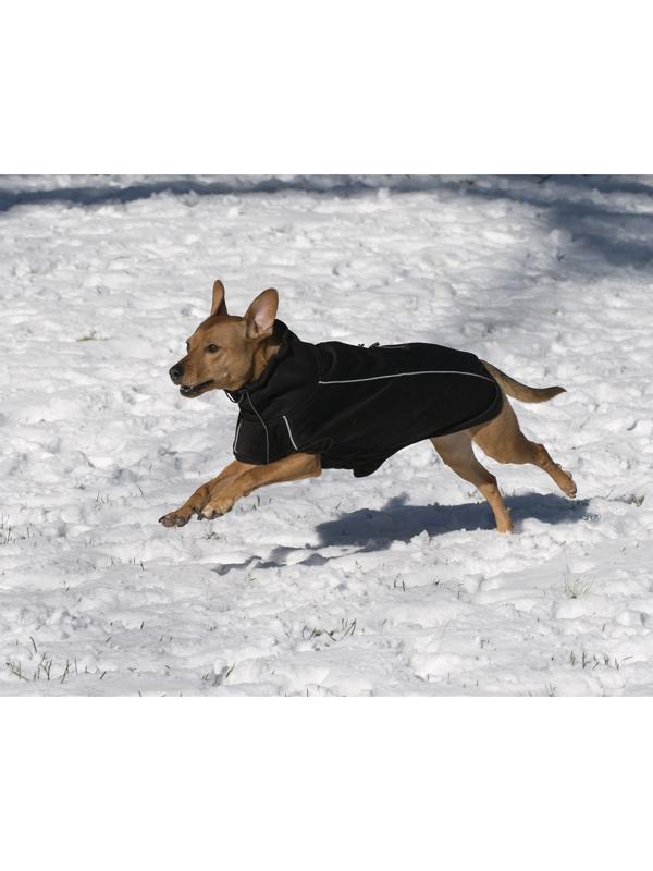 Флисовая куртка Dog Gone Smart Olympia Softshell Puffy, р 22, чёрная