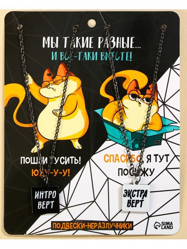 Кулоны парные подвески «Мы такие разные»