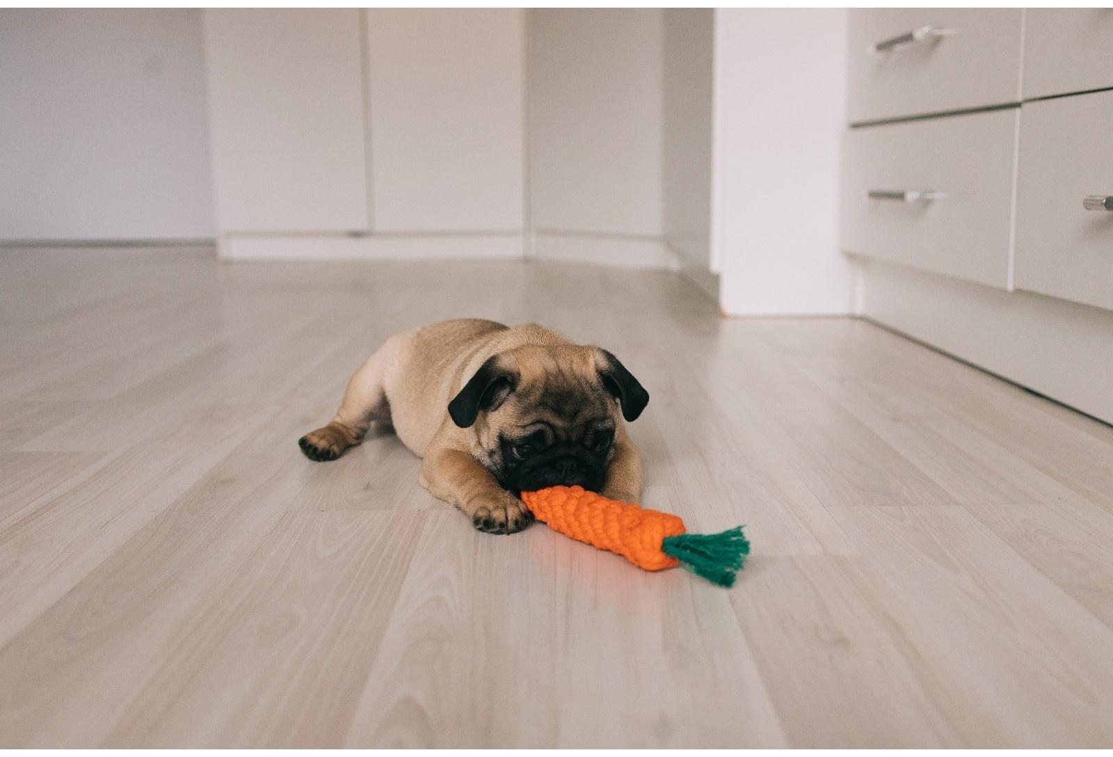 Игрушка канатная 