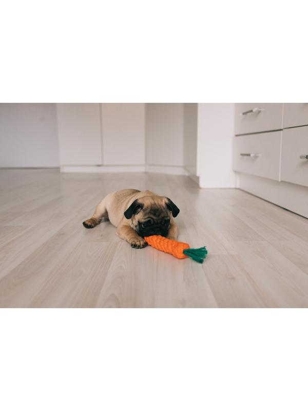 Игрушка канатная 