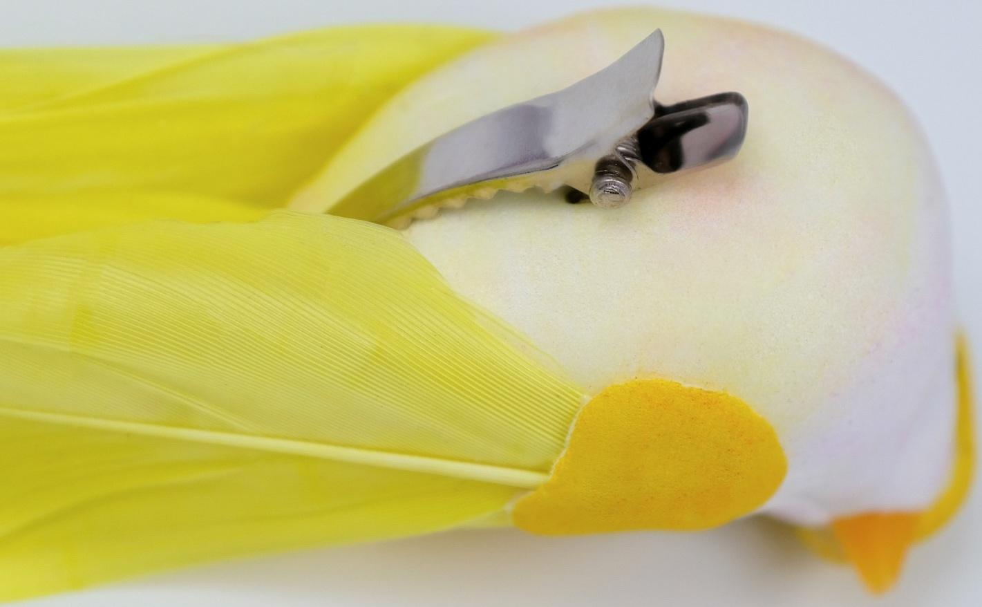 Декор на прищепке 