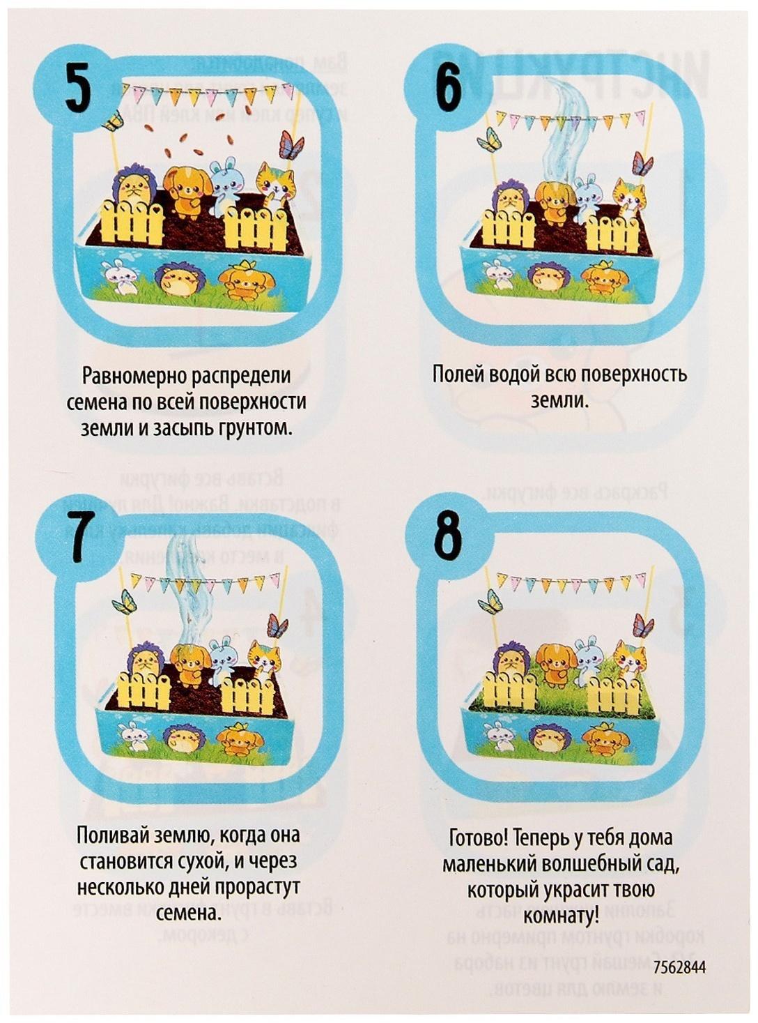 Набор для опытов «Мой мини сад»