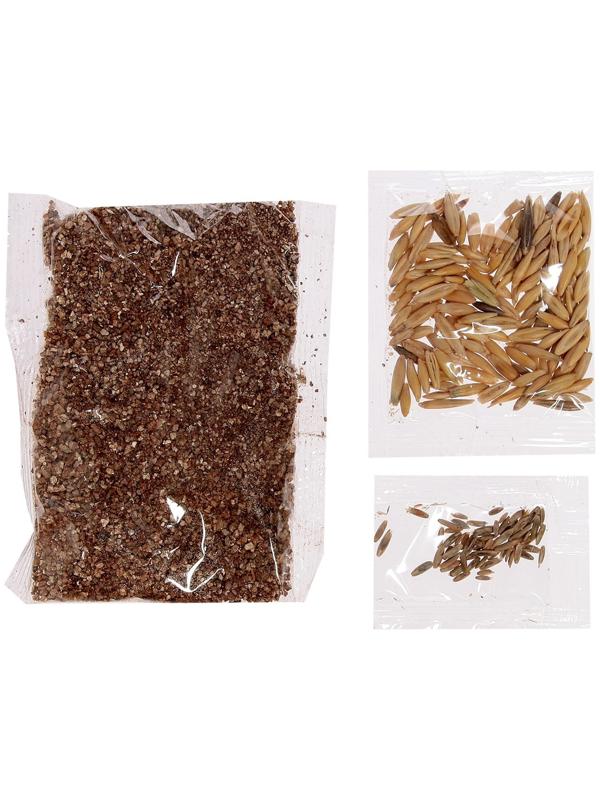 Набор для опытов «Мой мини сад»