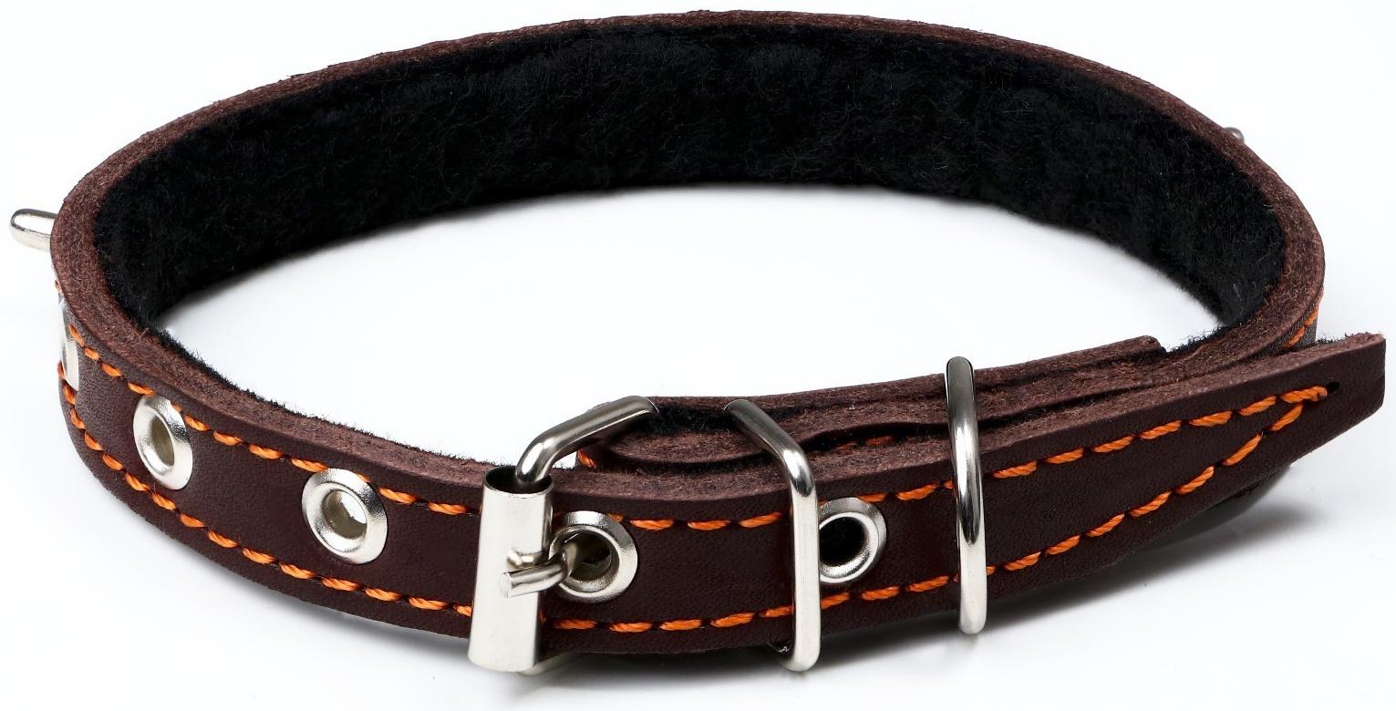 Ошейник кожаный на синтепоне, 