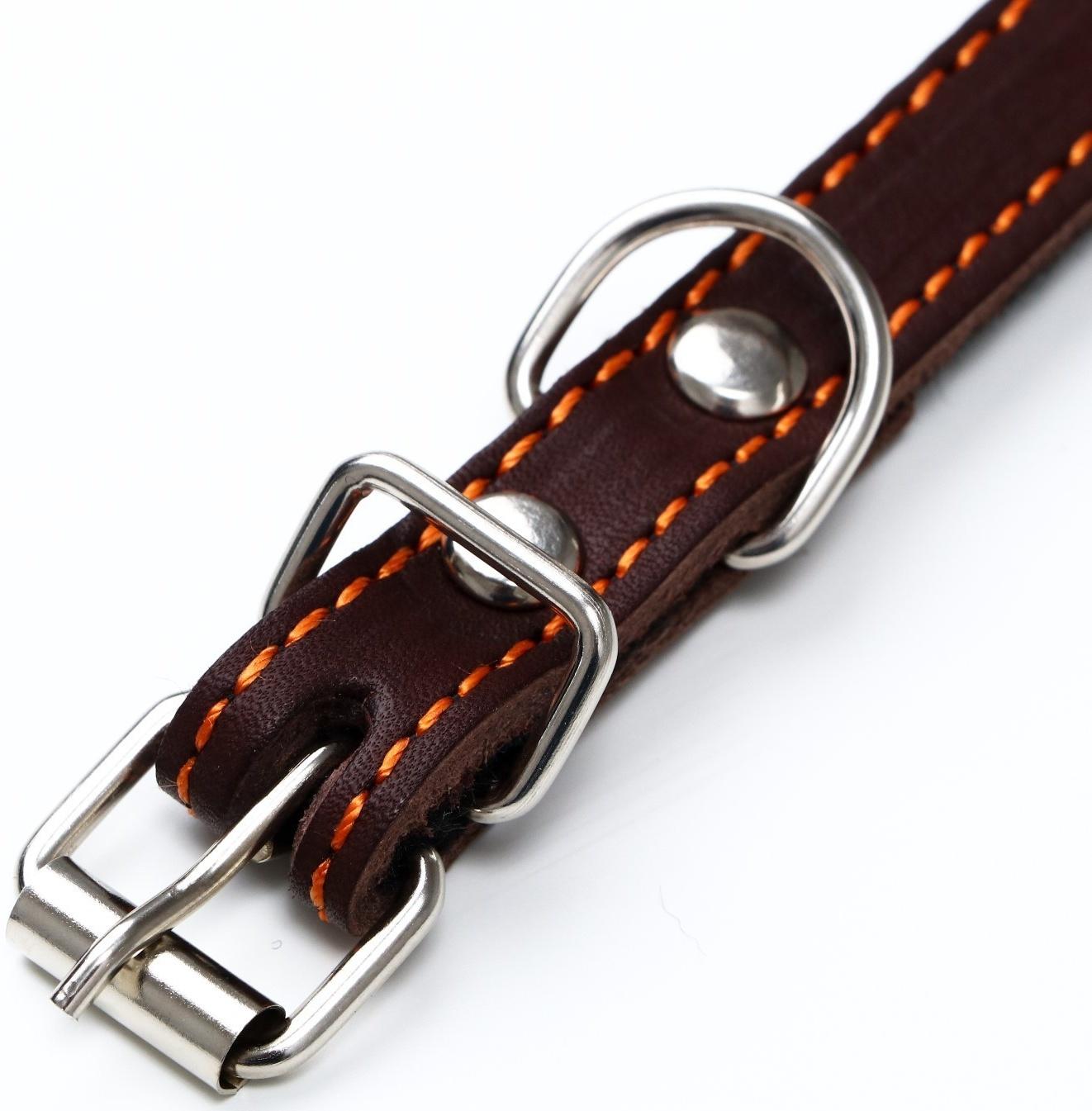 Ошейник кожаный на синтепоне, 