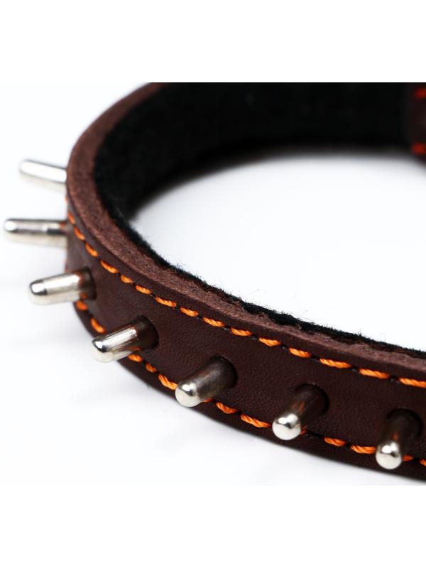 Ошейник кожаный на синтепоне, 