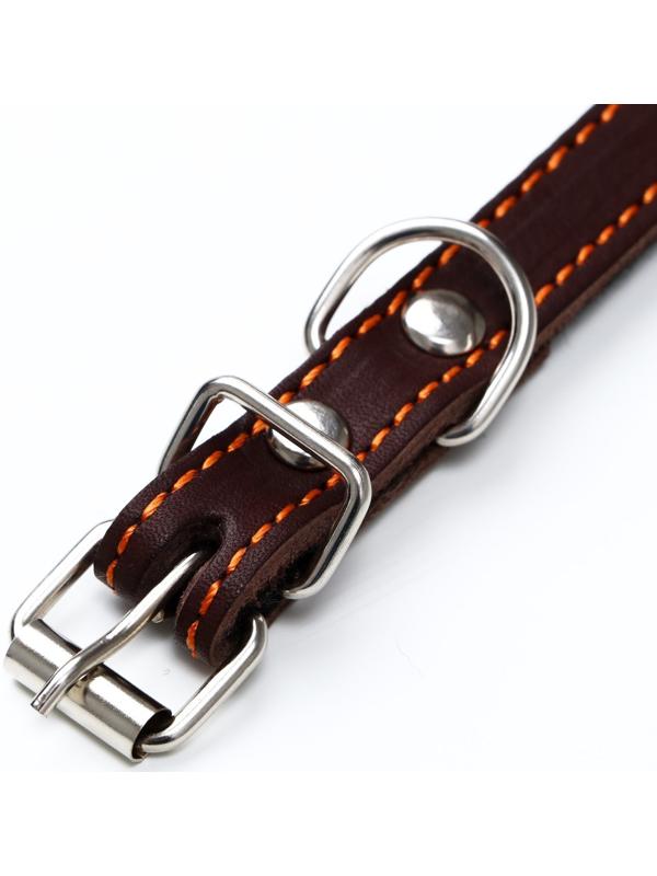 Ошейник кожаный на синтепоне, 