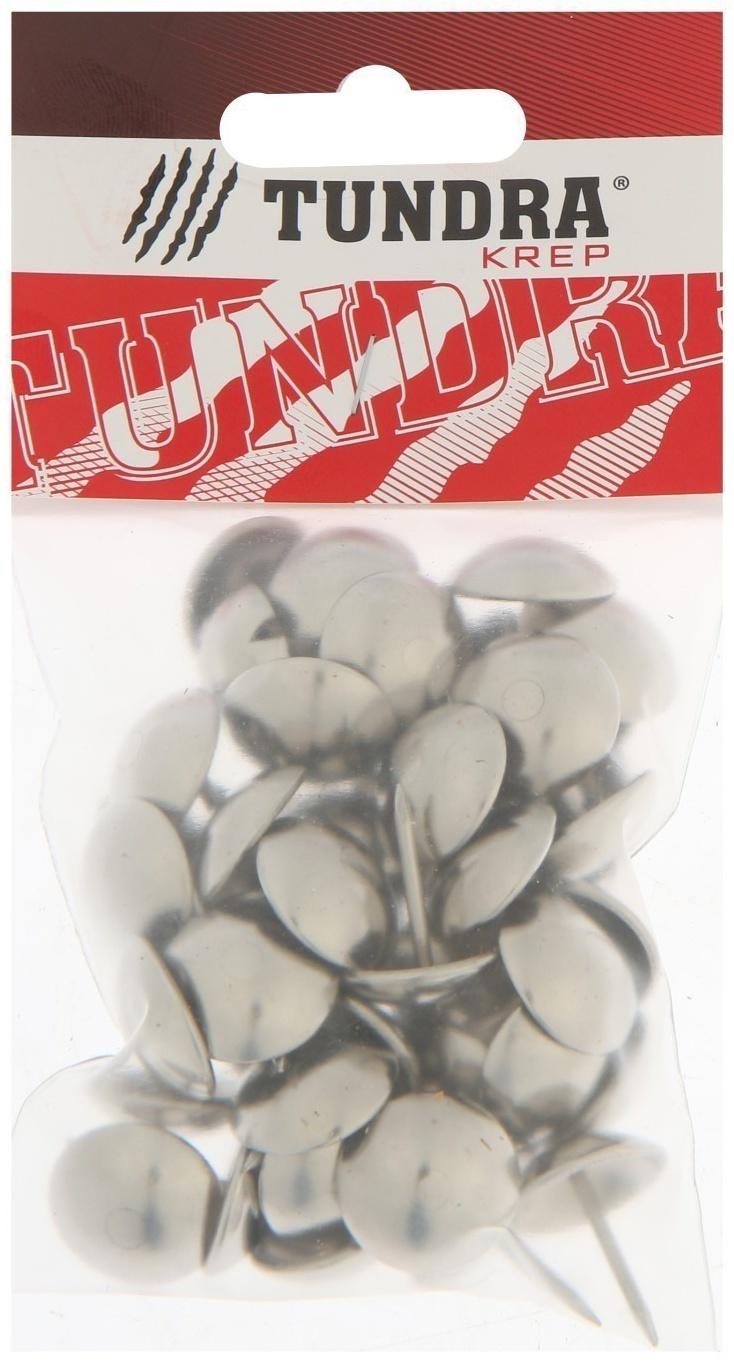 Гвозди ТУНДРА, декоративные, 19х22 мм, хром, 50 шт