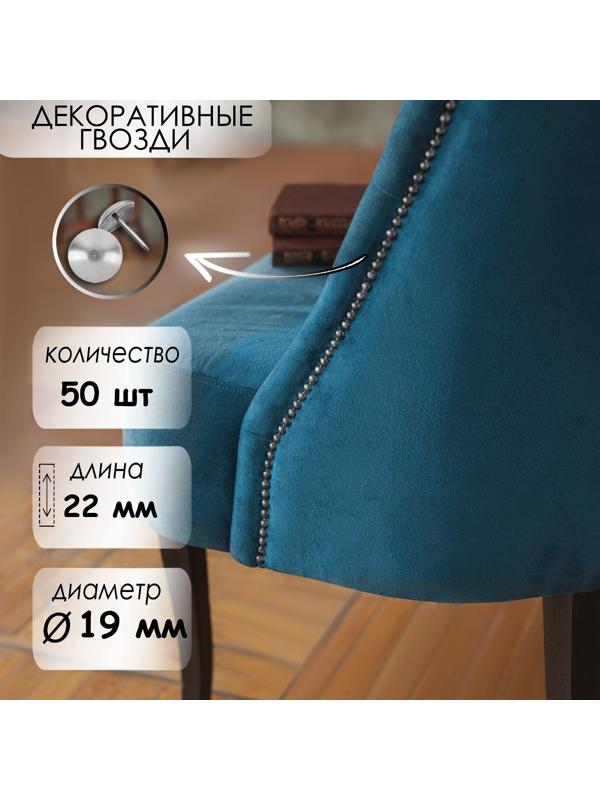 Гвозди ТУНДРА, декоративные, 19х22 мм, хром, 50 шт