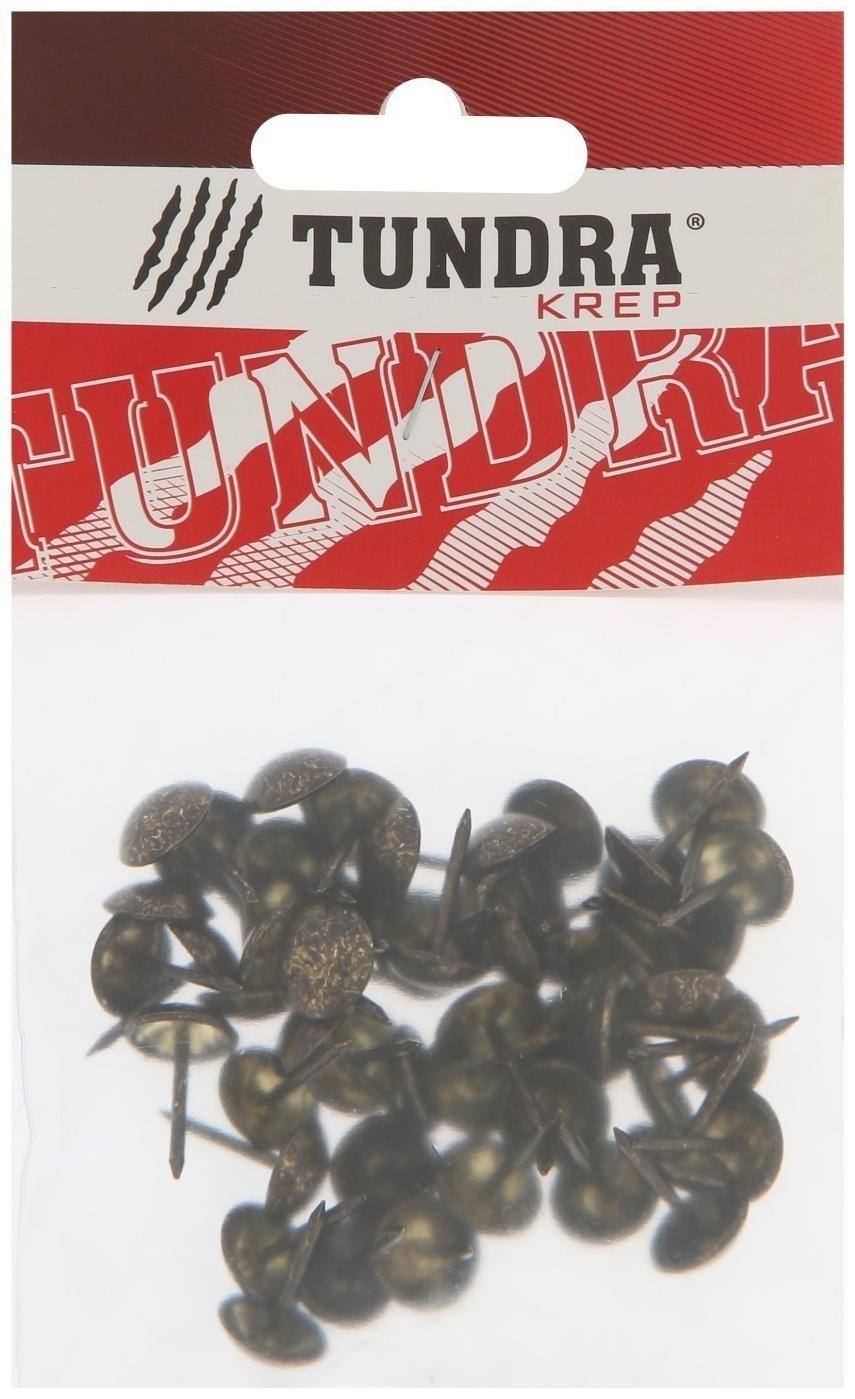 Гвозди ТУНДРА, декоративные, 11х17 мм, античная бронза, 50 шт