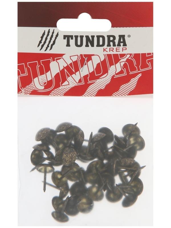 Гвозди ТУНДРА, декоративные, 11х17 мм, античная бронза, 50 шт