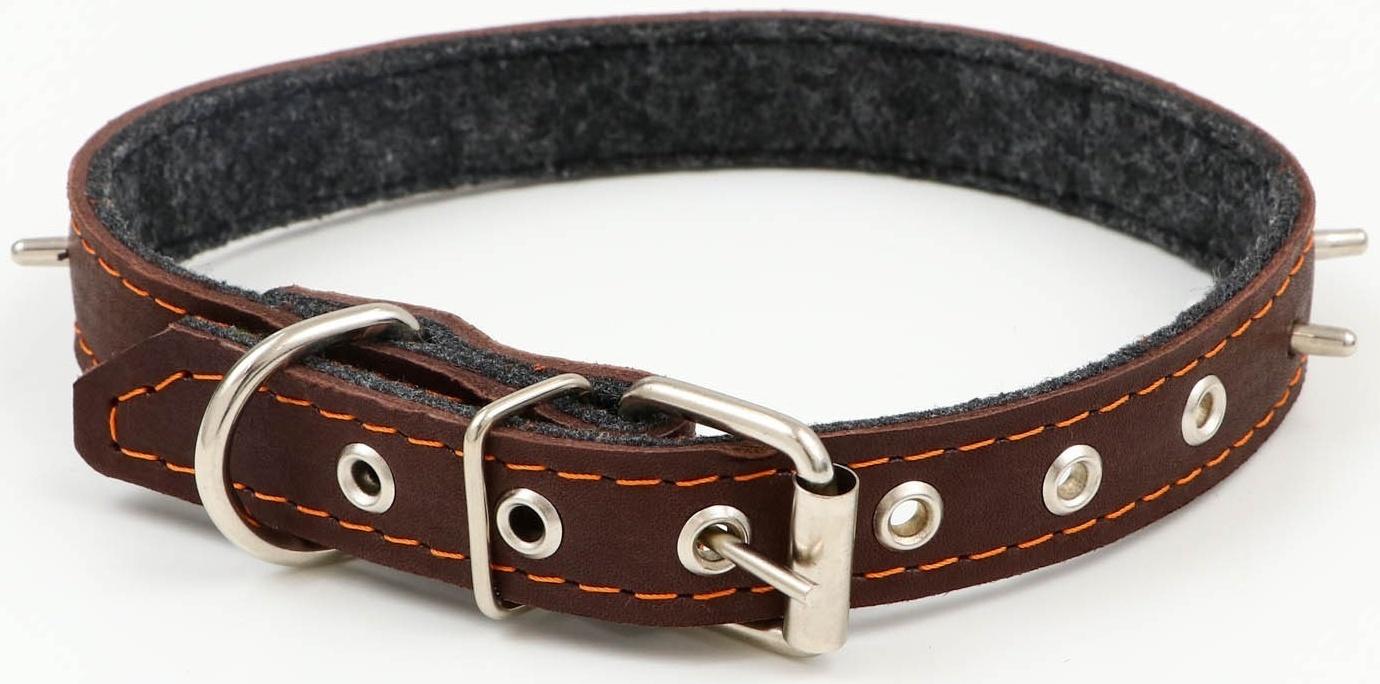 Ошейник кожаный на синтепоне, с шипами, 2 х 40 см, ОШ 25-35 см,тёмно-коричневый