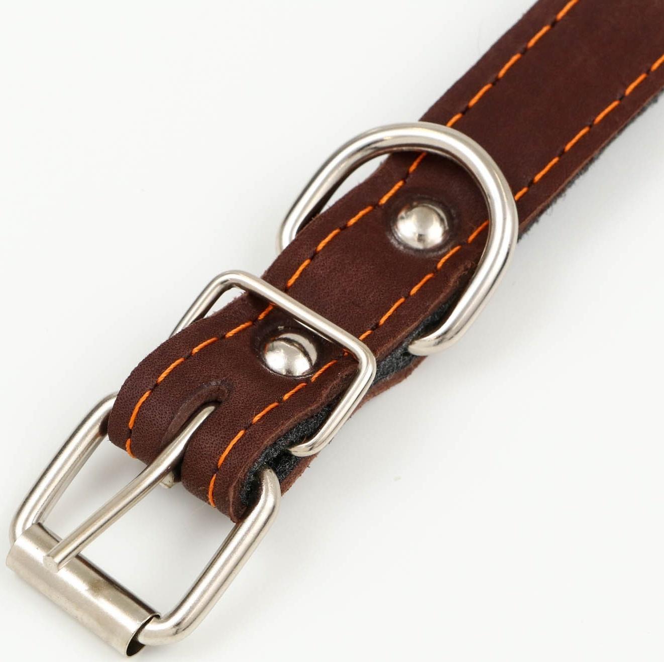 Ошейник кожаный на синтепоне, с шипами, 2 х 40 см, ОШ 25-35 см,тёмно-коричневый