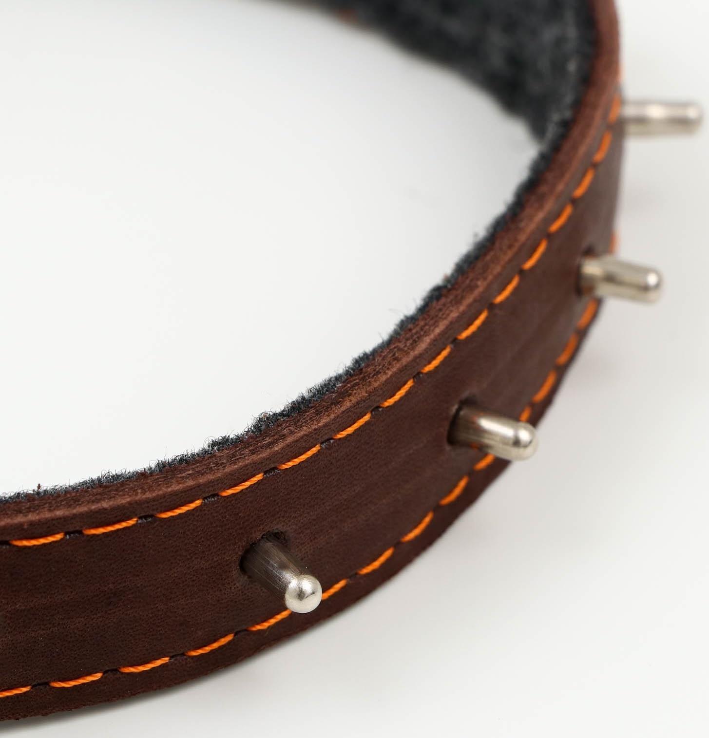 Ошейник кожаный на синтепоне, с шипами, 2 х 40 см, ОШ 25-35 см,тёмно-коричневый