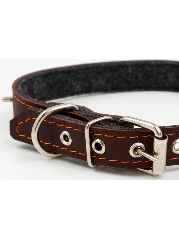 Ошейник кожаный на синтепоне, с шипами, 2 х 40 см, ОШ 25-35 см,тёмно-коричневый