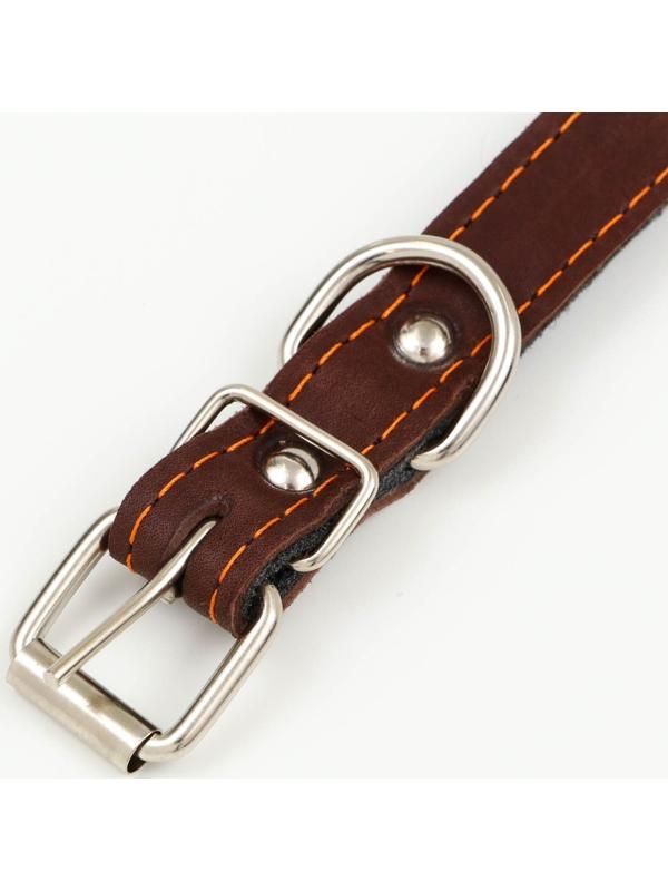 Ошейник кожаный на синтепоне, с шипами, 2 х 40 см, ОШ 25-35 см,тёмно-коричневый