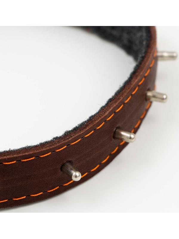 Ошейник кожаный на синтепоне, с шипами, 2 х 40 см, ОШ 25-35 см,тёмно-коричневый