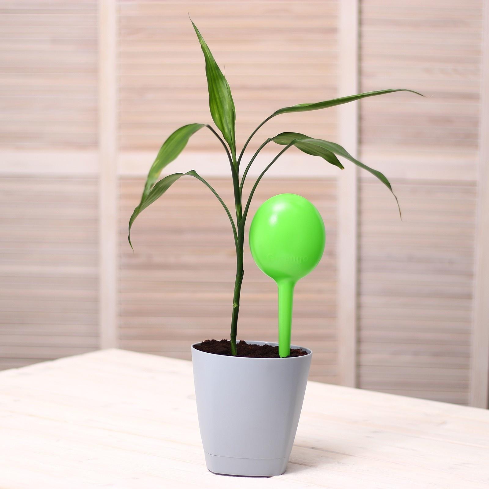 Автополив для домашних растений Greengo 380 мл, зелёный, 2 шт., пластиковый, высота 28 см