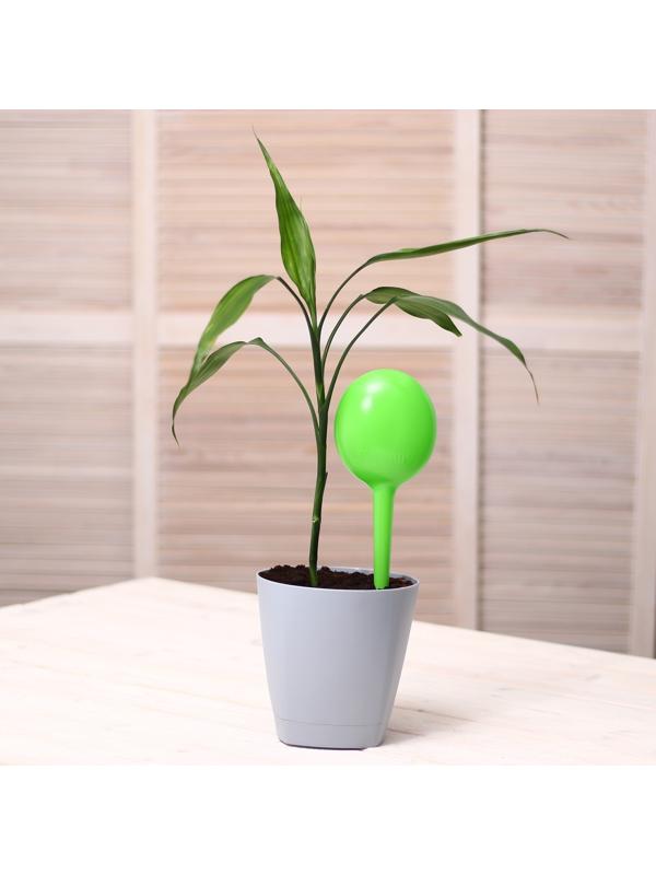 Автополив для домашних растений Greengo 380 мл, зелёный, 2 шт., пластиковый, высота 28 см