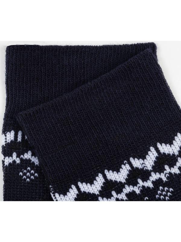 Носки мужские, цвет синий, размер 25-27