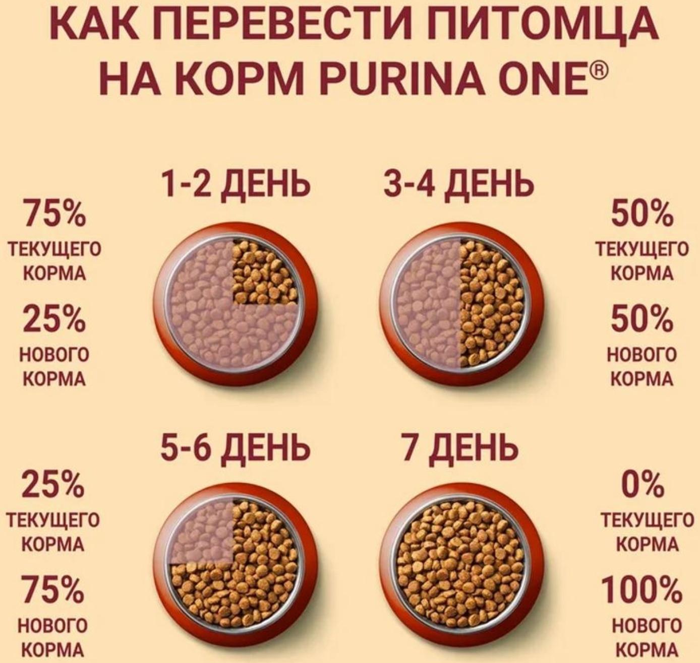 Сухой корм Purinа One medium/maxi для взрослых собак, говядина/рис, 10 кг