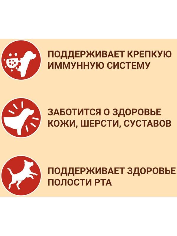 Сухой корм Purinа One medium/maxi для взрослых собак, говядина/рис, 10 кг