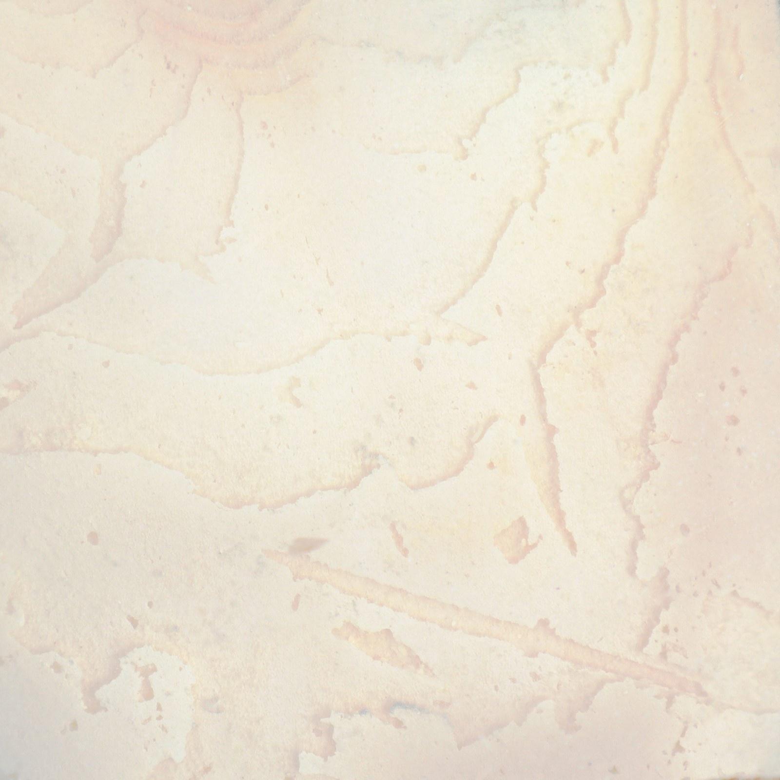 Панцирь каракатицы для птиц 12 см, белый