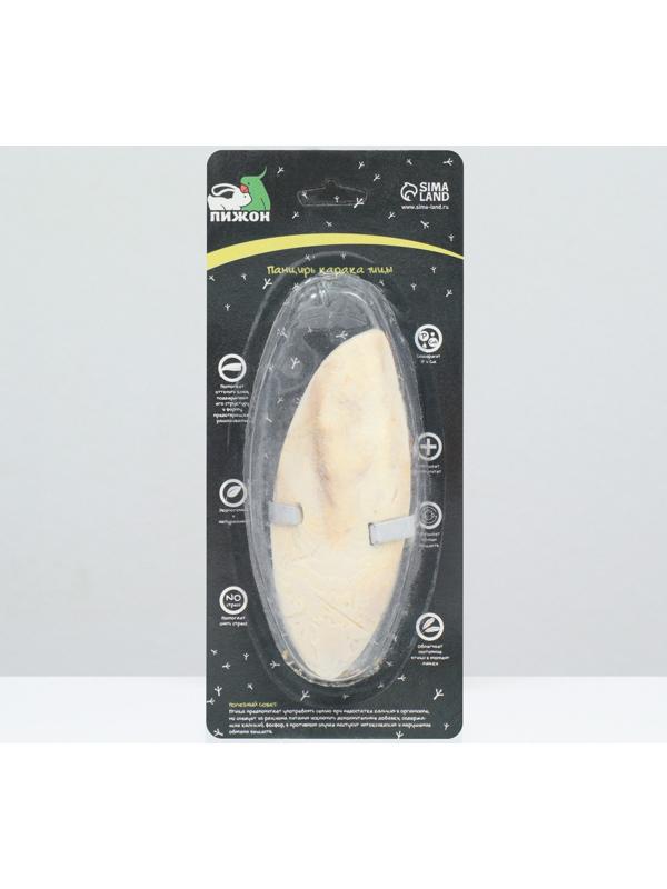 Панцирь каракатицы для птиц 12 см, белый