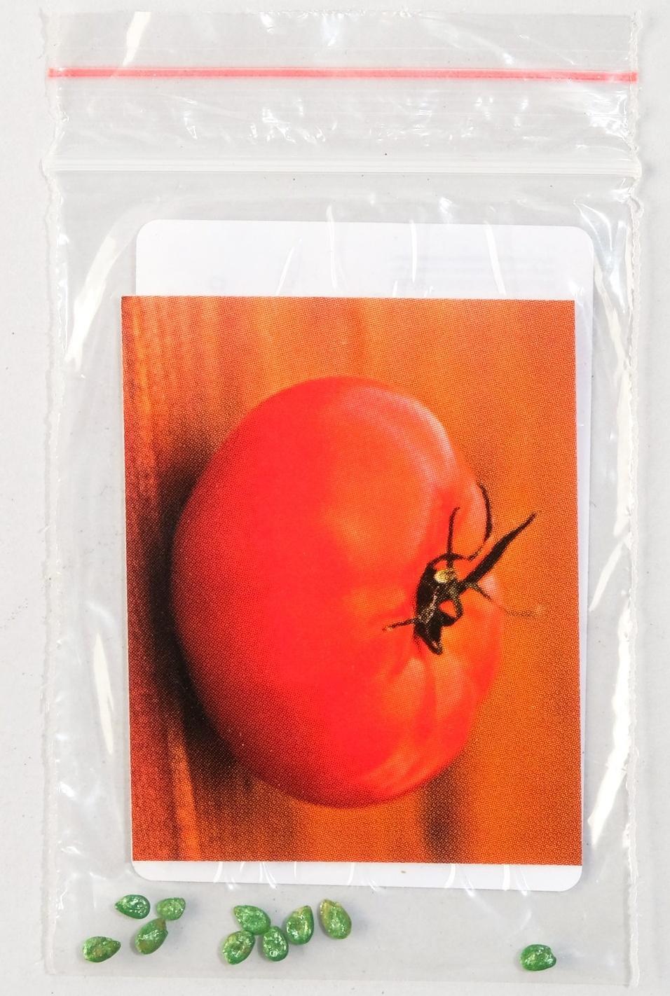 Семена Томат 