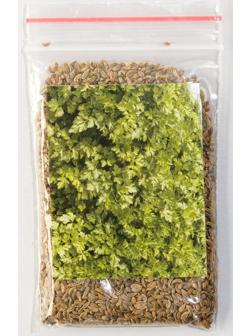 Семена Петрушка 