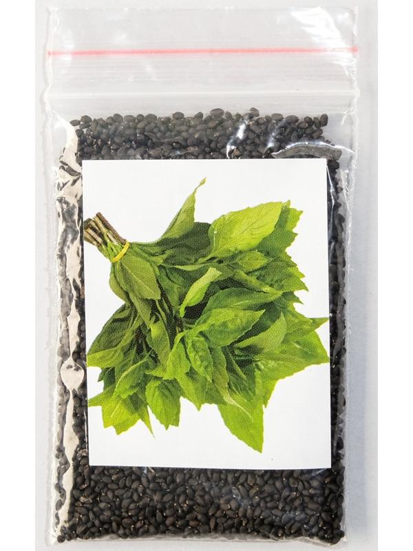 Семена Базилик 