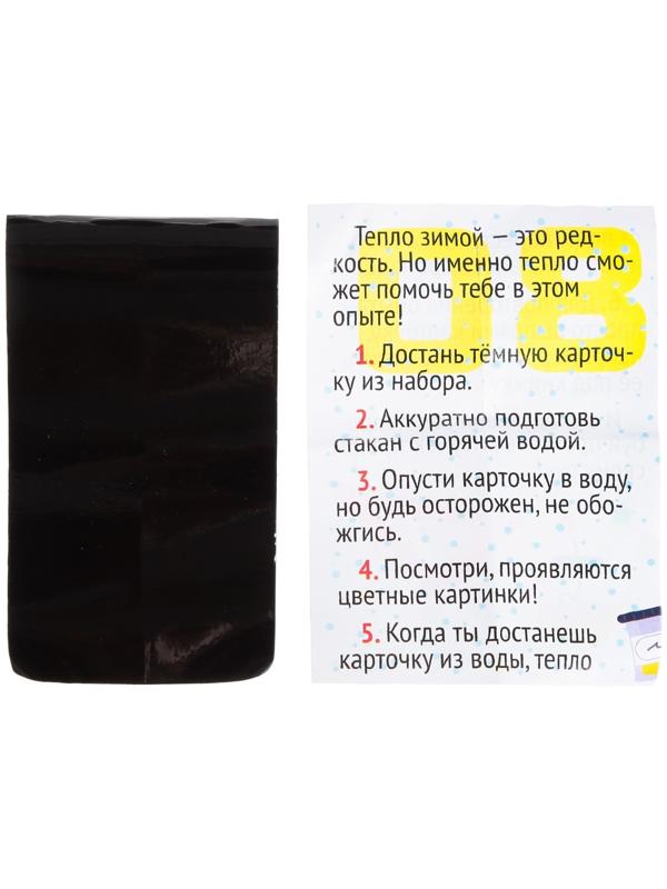 Набор для опытов «Новогодний научный адвент-календарь», 13 опытов