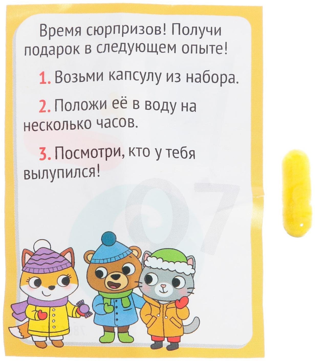 Набор для опытов «Новогодний адвент-календарь», 13 опытов