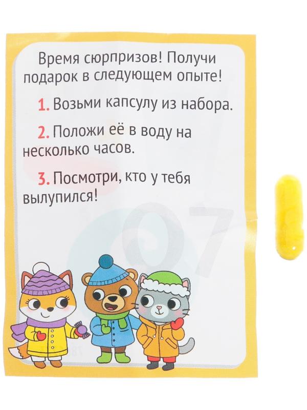 Набор для опытов «Новогодний адвент-календарь», 13 опытов