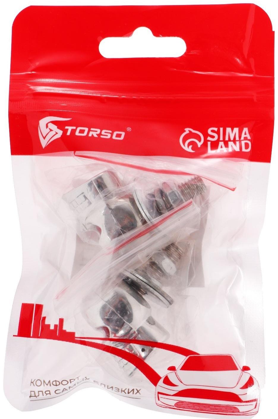 Болт крепления номерной рамки, череп, набор 2 шт