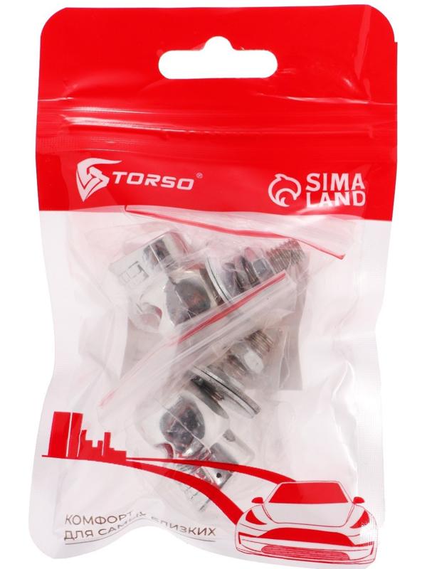 Болт крепления номерной рамки, череп, набор 2 шт