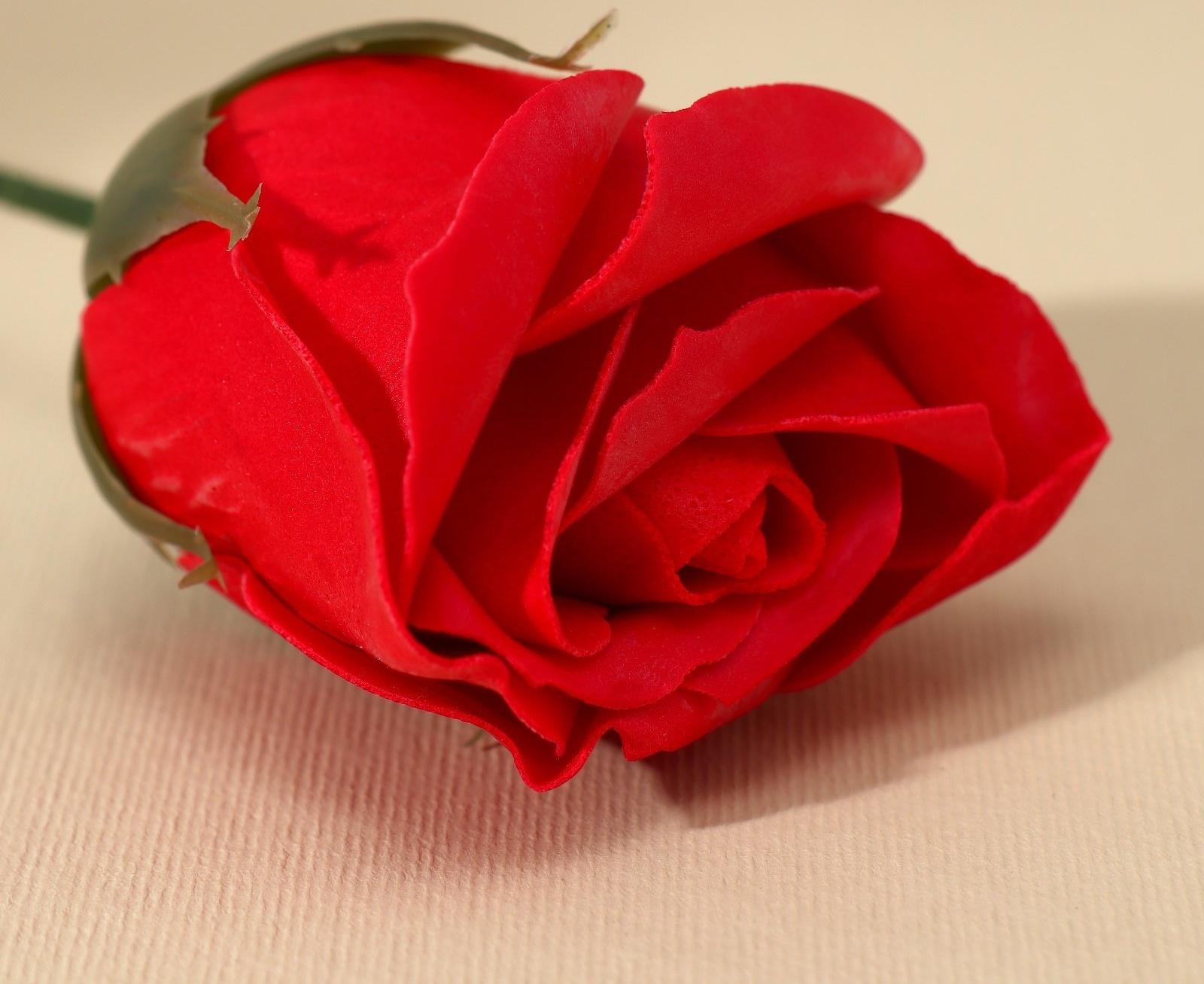 Мыло твёрдое лепестковое «С 8 марта», 1шт, цвет красный