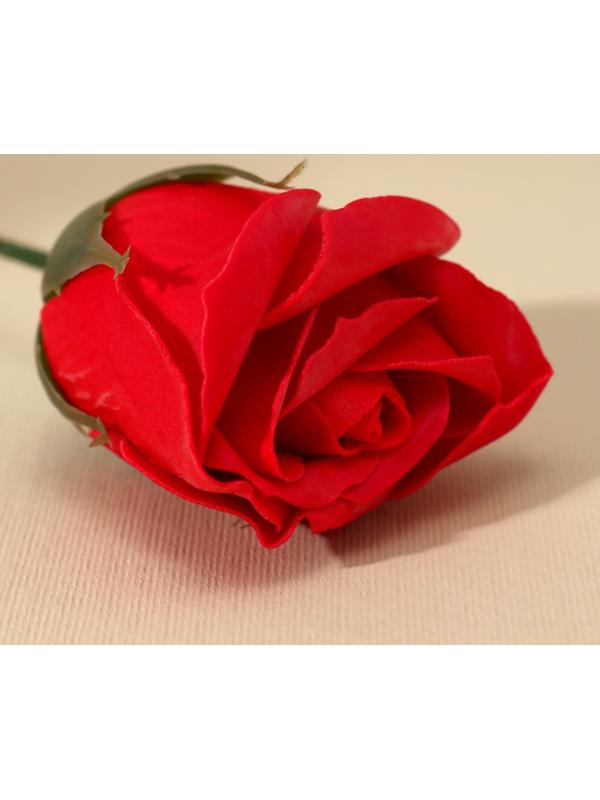 Мыло твёрдое лепестковое «С 8 марта», 1шт, цвет красный