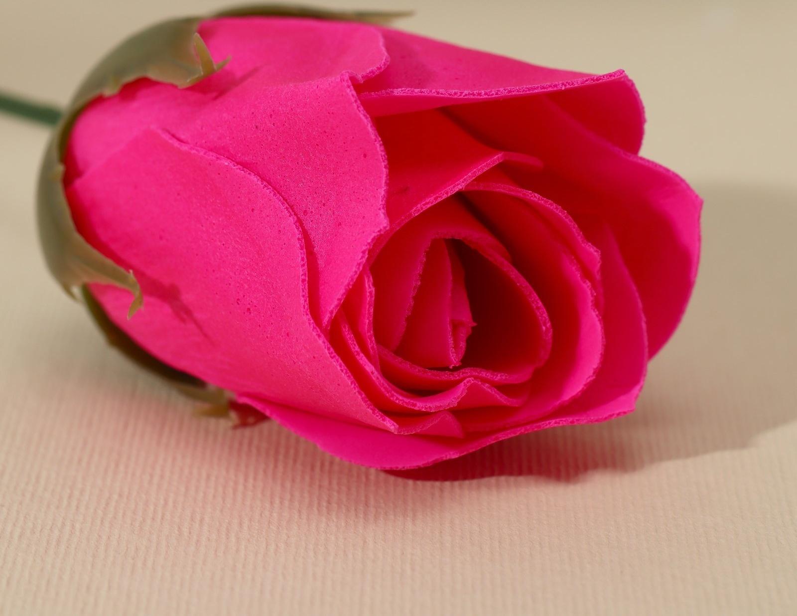 Мыло твёрдое лепестковое «Чудесной весны», 1шт, цвет розовый