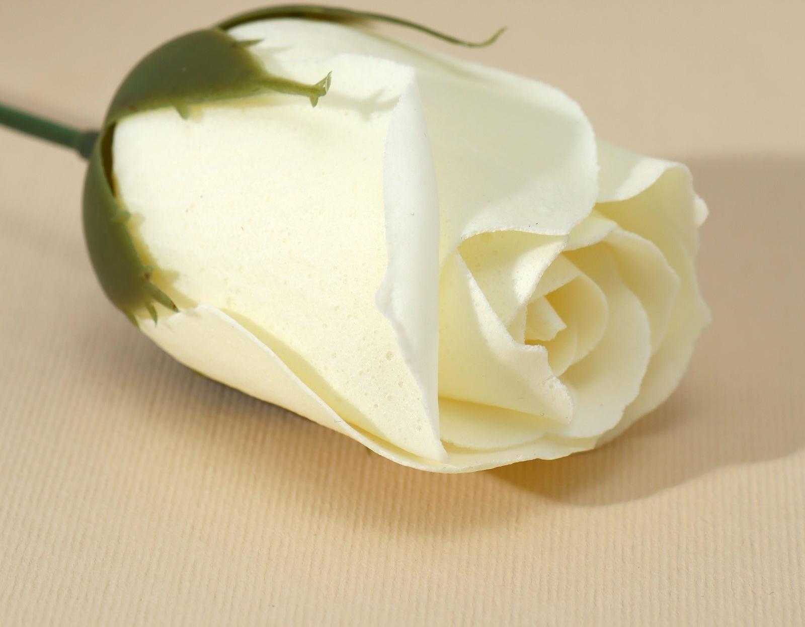 Мыло твёрдое лепестковое «С Праздником весны», 1шт, цвет белый