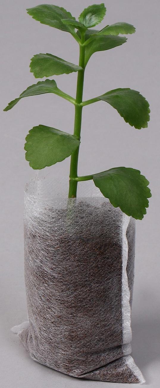 Пакет для рассады, 250 мл, 5,7 × 9 см, спанбонд плотностью 25 г/м², Greengo