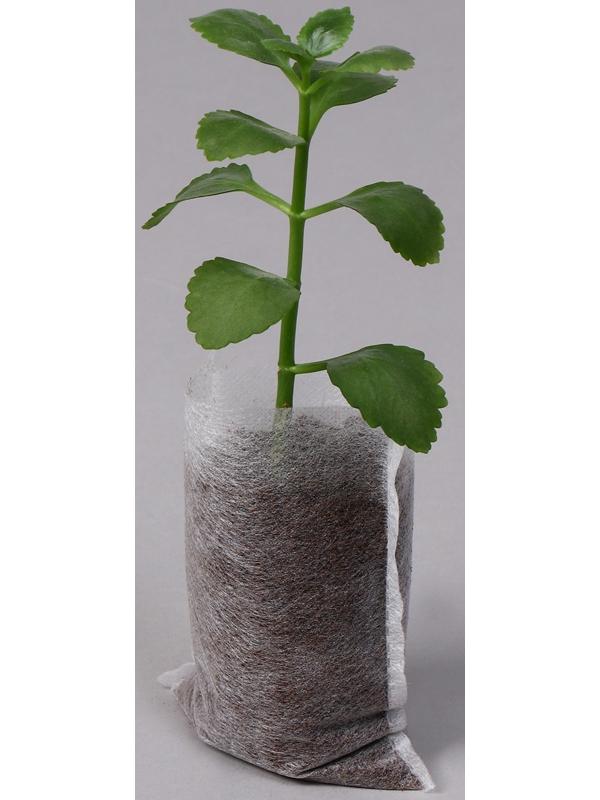 Пакет для рассады, 250 мл, 5,7 × 9 см, спанбонд плотностью 25 г/м², Greengo