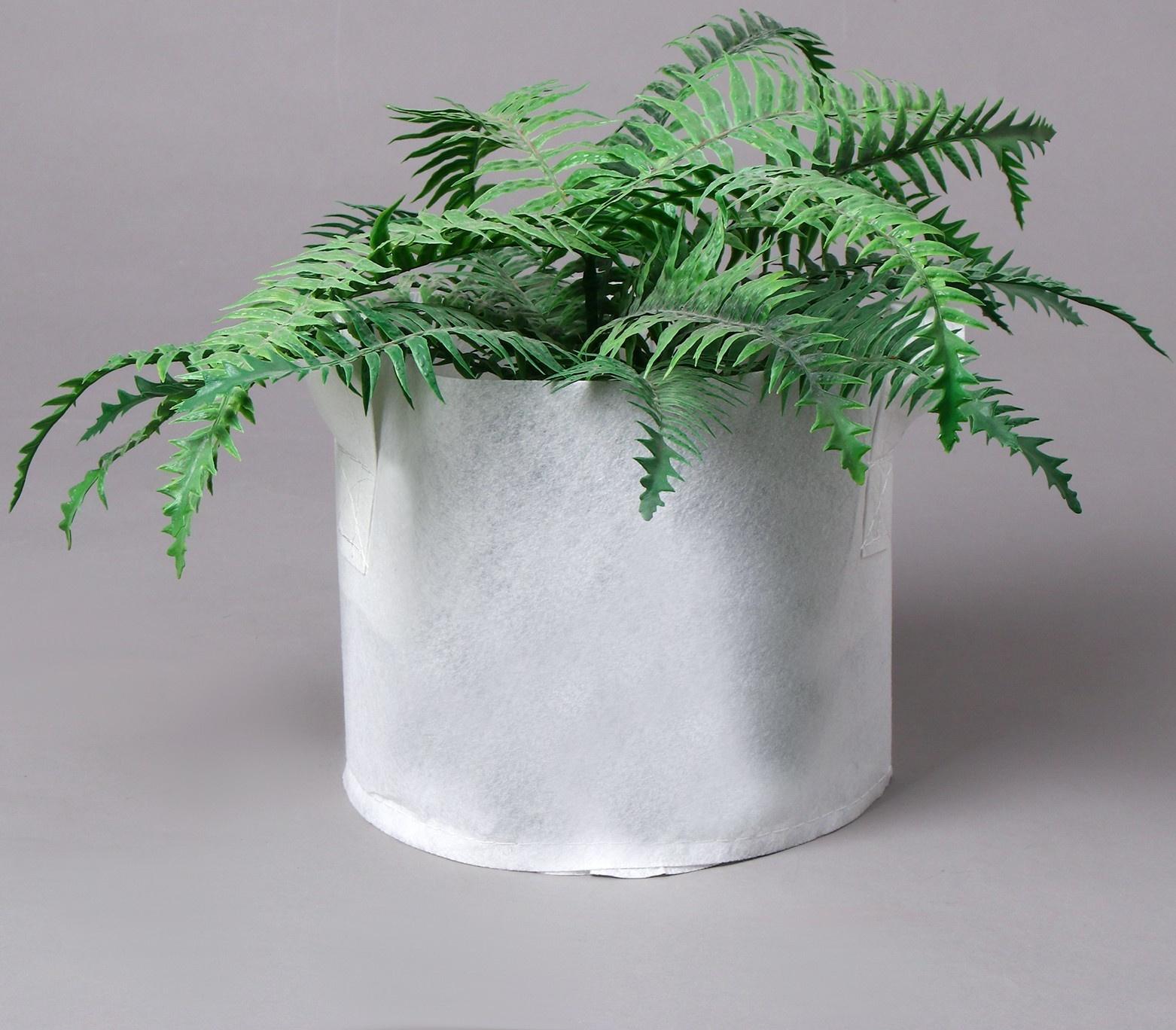 Контейнер с ручками, 7,6 л, 22 × 20 см, плотность 130 г/м², Greengo