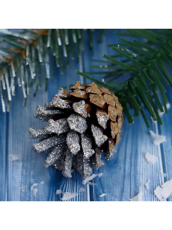 Новогодний набор № 1