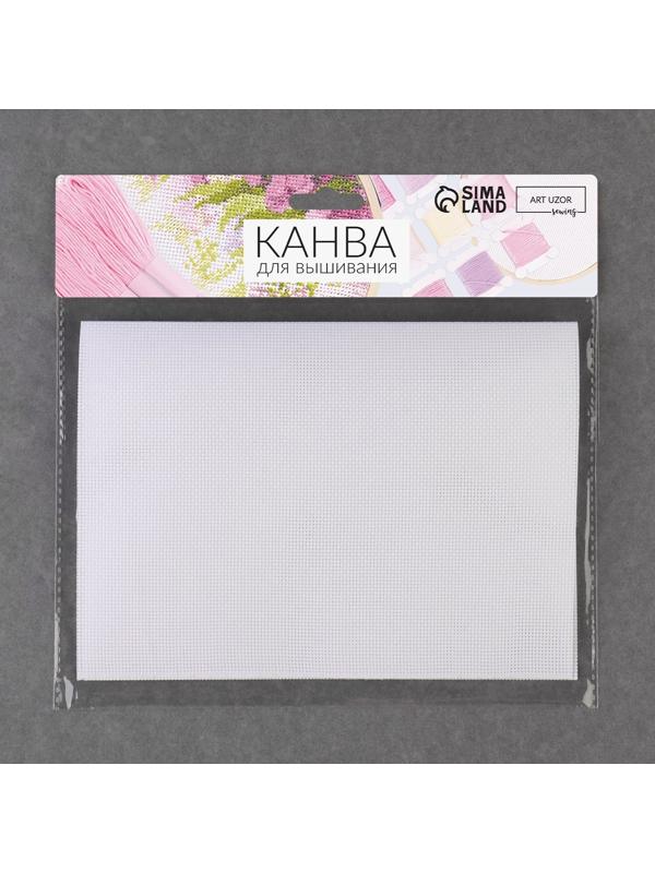 Канва для вышивания №18, 30 × 20 см, цвет белый